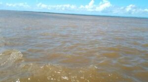 ALEXIS ROBLES Y EL DELTA DEL ORINOCO